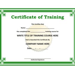 Out Of This World Training Certificate Download Free Documents For Word And Excel Template