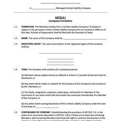 Supreme Professional Operating Agreement Templates Template
