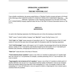 Excellent Professional Operating Agreement Templates Template Samples