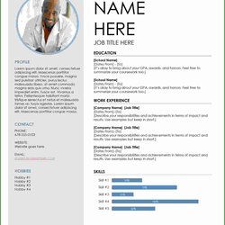 Resume Templates Microsoft Word Free Download Template