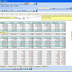 Capital Cash Flow Excel Template Spreadsheet
