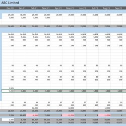 Matchless Cash Flow Model Template Images And Photos Finder Entry Screen