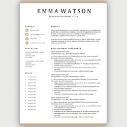 Champion Modern Resume Template Download For Free Simple Gold