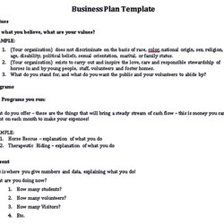 Sterling Non Profit Business Plan Templates Room Surf Foundation For Your Success Template