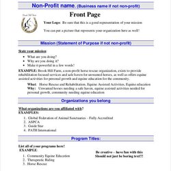 Swell Non Profit Business Plan Word Documents Download Template Foundation Templates For Your Success