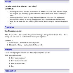 Terrific Business Plan Templates Google Docs Ms Word Pages Template Non Profit Plans