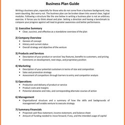 Eminent Non Profit Business Plan Template Free Download