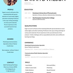 Very Good Professional Resume Template Word Free Examples Freshers