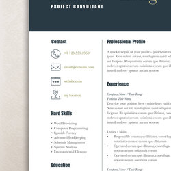 Template Word Professional Resume Templates On Resumes Customize Fit