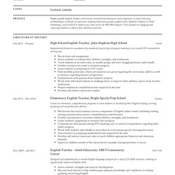 Terrific Resume Format Editable Depression Che Professional Template