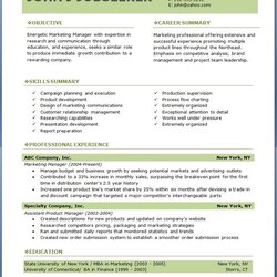 Fantastic Free Professional Resume Templates