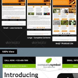 Terrific Business Email Newsletter Template