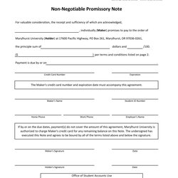 Supreme Blank Promissory Note Template