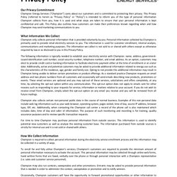 Excellent Privacy Policy Examples Format Business Word Google Pages Docs
