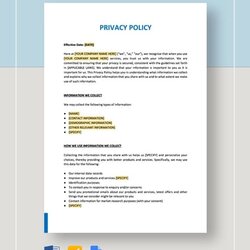 Sublime Privacy Policy Templates Doc Template Word Business Details