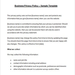 Terrific Privacy Policy Templates Doc Template Sample Business Word Free Download