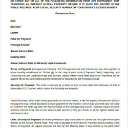 The Highest Standard Promissory Note Template Word Free Sample Example Format Width