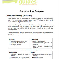 Superior Free Sample Marketing Plan Templates In Google Docs Ms Word Template Example Business