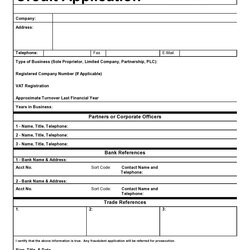 Outstanding Free Credit Application Templates Business Generic Template