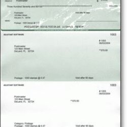 Peerless Payroll Check Template Business Checks Stubs Order Fake Stub Chase Blank Accounting Chem Paycheck