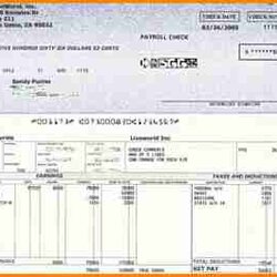 Magnificent Printable Checks Templates Free Letter Payroll