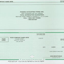 Cool Payroll Check Template Checks Business Templates Blank Stub Printable Pay Stubs Example Bank Company