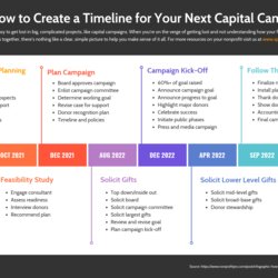 Capital Marketing Campaign Summary Template