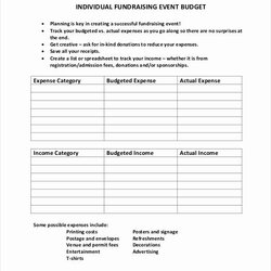 Magnificent Campaign Plan Template Inspirational Bud Spreadsheet