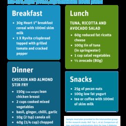 Champion Daily Meal Plan Templates At Diet Template Planner Sample Low Main