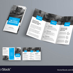 Champion Three Fold Brochure Template Intended For Co Panel