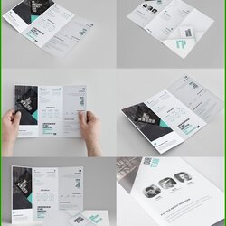Magnificent Three Fold Brochure Template Free Resume Examples
