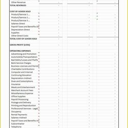 Capital Profit And Loss Statement Template Free Of Templates Amp Forms