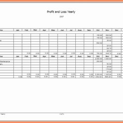 Capital Statement Template