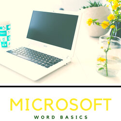 Microsoft Word Basics Class The Little Falls Public Library
