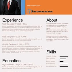 Splendid Functional Format Resume Example Chronological