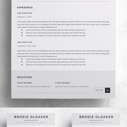Exceptional Resume Templates Best Of Design Graphic Junction Template