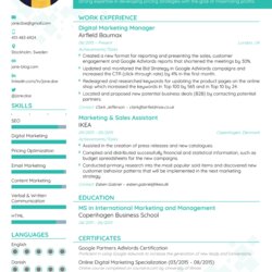 Excellent Best Resume Formats For Professional Templates Format Choose Template Latest Good Examples