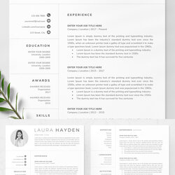 Brilliant Resume Templates Best Of Design Graphic Junction Template