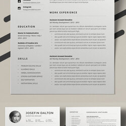 Superb Best Amp Resume Templates