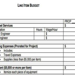 Capital Free Sample Line Item Budget Forms In Ms Word Excel