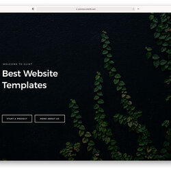 The Highest Quality Best Website Templates