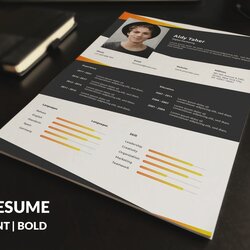 Fantastic Best Resume Templates With Modern Designs Theme Junkie Template