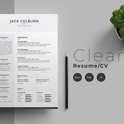 Great Illustrator Resume Templates Clean Template