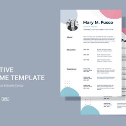 Superior Best Resume Templates With Modern Designs Theme Junkie Template