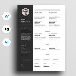Spiffing Best Resume Templates With Modern Designs Theme Minimal Formats Morrison Junkie Resumes