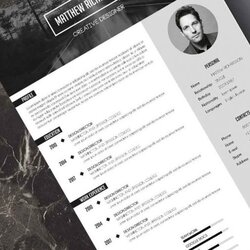 Brilliant Best Resume Templates For Free Mono Template