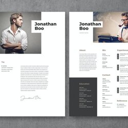 Best Resume Templates With Modern Designs Theme Junkie Resumes
