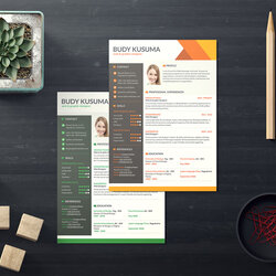 Preeminent Free Professional Resume Template For Job In Format Templates Good Design