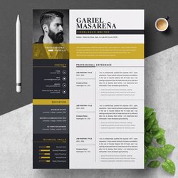 Sterling Graphic Designer Resume Template Free For Your Needs