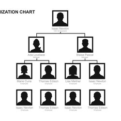 Very Good Unique Ms Office Organization Chart Template Organizational Blank Hierarchy Pertaining Regard